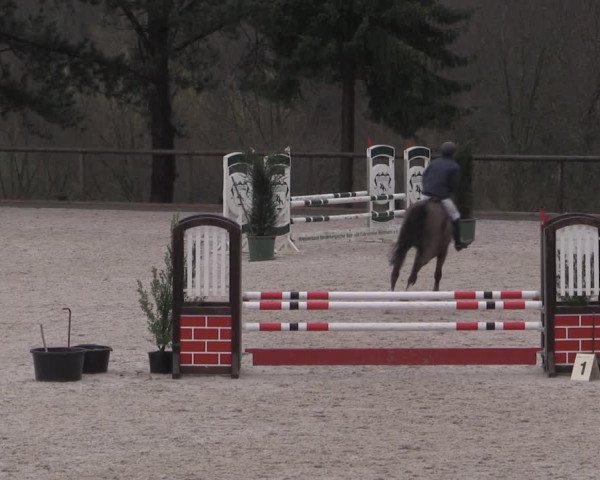 Reitturnier Erkrath - Uhlenhof 2023