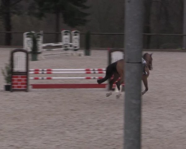 Reitturnier Erkrath - Uhlenhof 2023