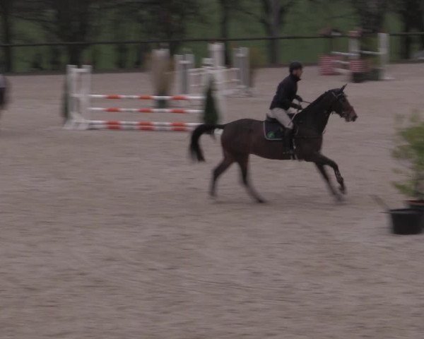 Reitturnier Erkrath - Uhlenhof 2023