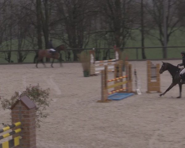 Reitturnier Erkrath - Uhlenhof 2023