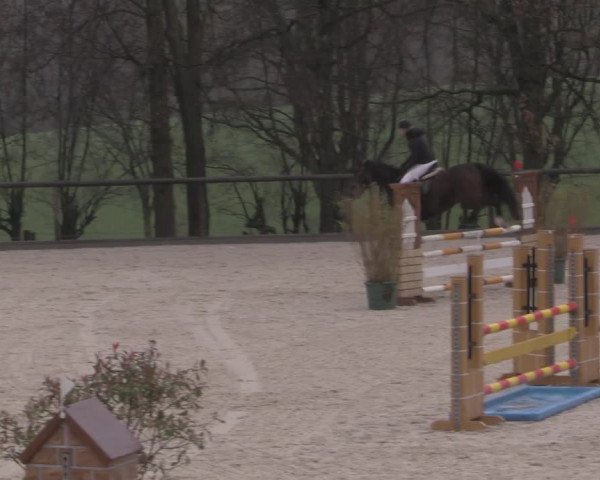 Reitturnier Erkrath - Uhlenhof 2023