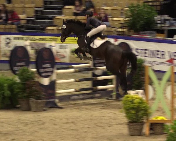 FEI Reitturnier Neumünster (GER) 2021
