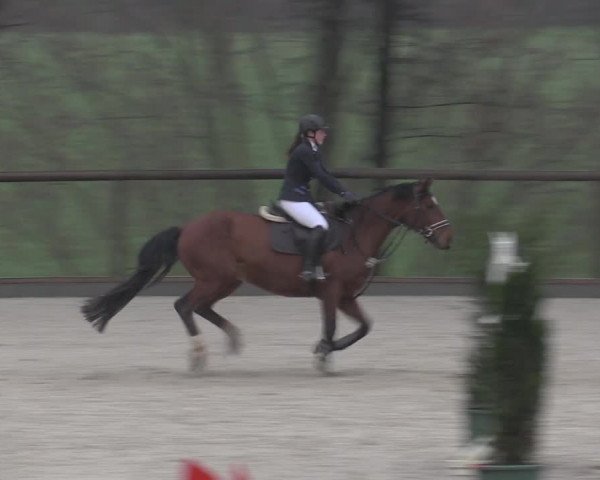 Reitturnier Erkrath - Uhlenhof 2023