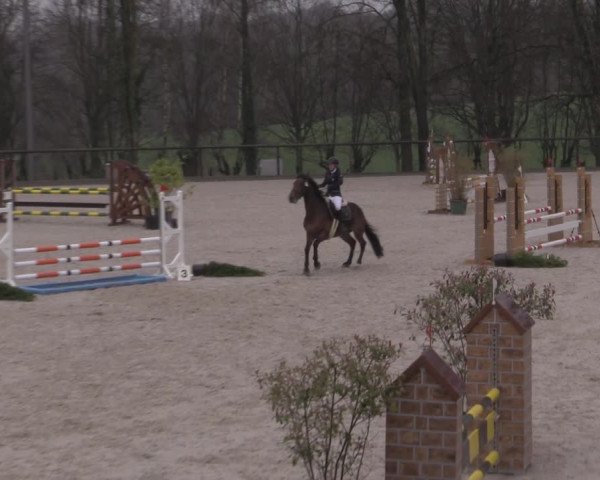 Reitturnier Erkrath - Uhlenhof 2023