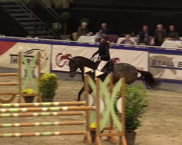 FEI Reitturnier Neumünster (GER) 2021