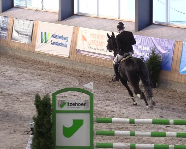 Reitturnier Niebüll 2023