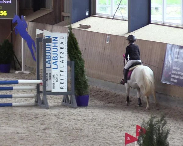Reitturnier Niebüll 2023