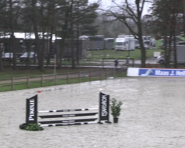 Reitturnier Westergellersen 2023