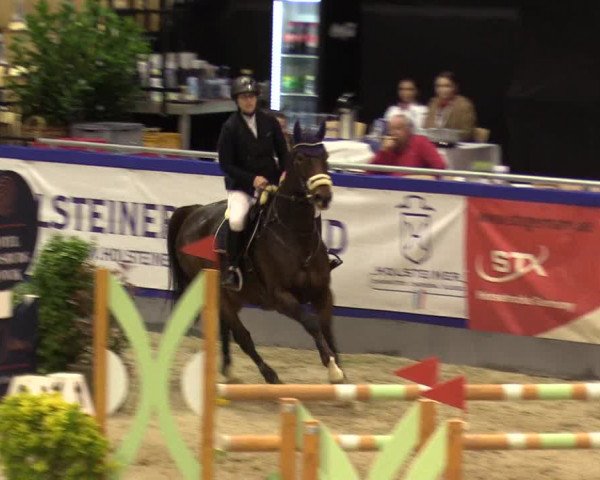 FEI Reitturnier Neumünster (GER) 2021