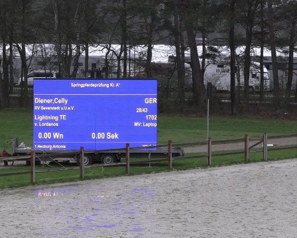 Reitturnier Westergellersen 2023
