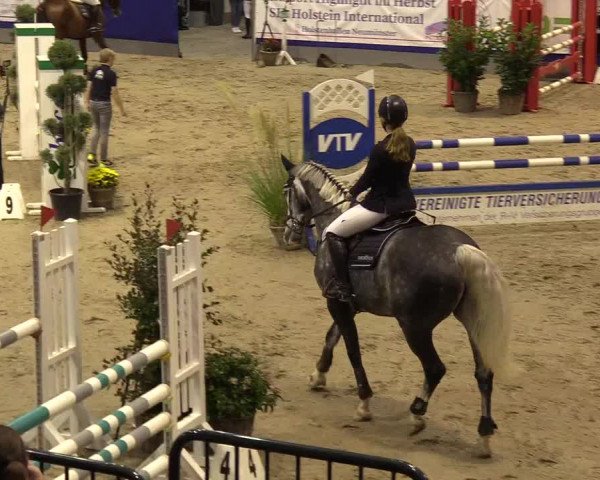 FEI Reitturnier Neumünster (GER) 2021