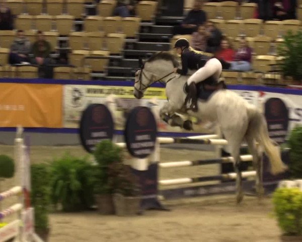 FEI Reitturnier Neumünster (GER) 2021