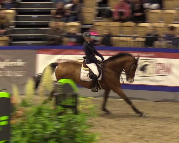 FEI Reitturnier Neumünster (GER) 2021