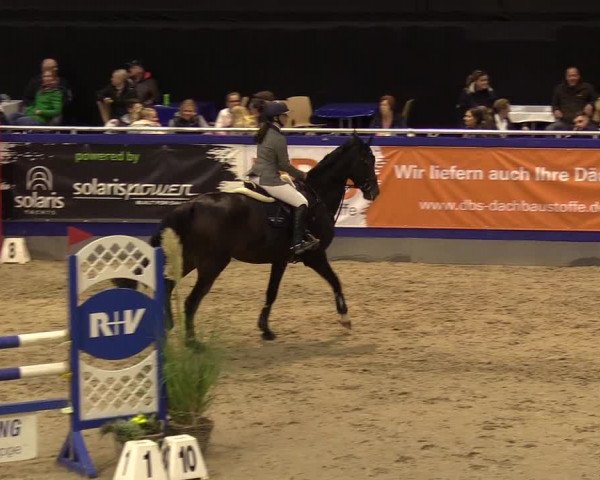 FEI Reitturnier Neumünster (GER) 2021
