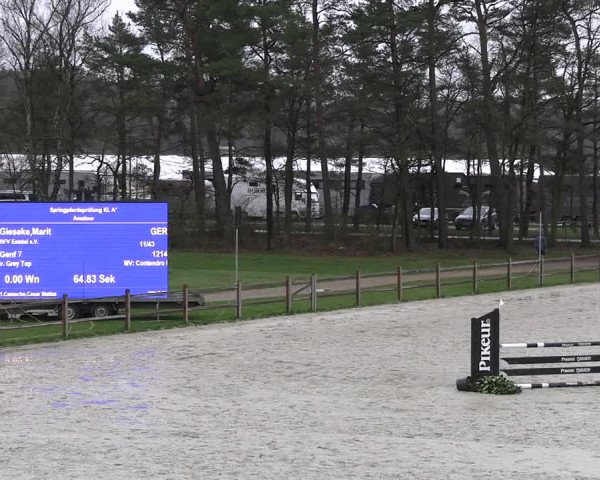 Reitturnier Westergellersen 2023