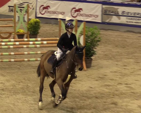 FEI Reitturnier Neumünster (GER) 2021