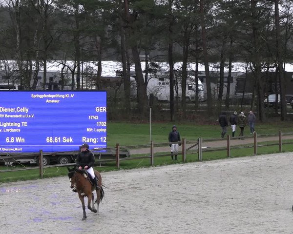 Reitturnier Westergellersen 2023
