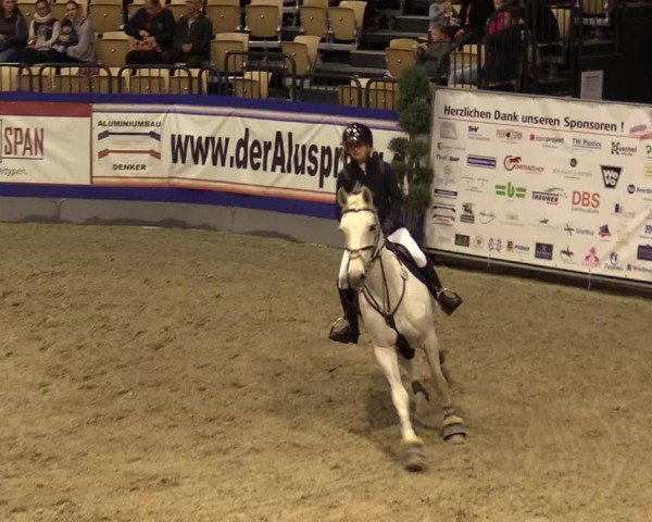 FEI Reitturnier Neumünster (GER) 2021
