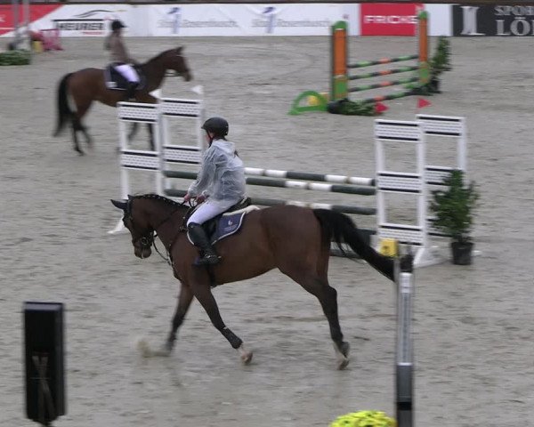 Reitturnier Westergellersen 2023