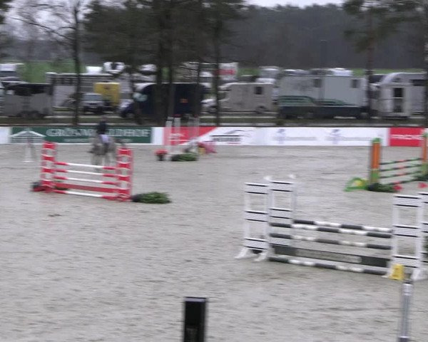 Reitturnier Westergellersen 2023