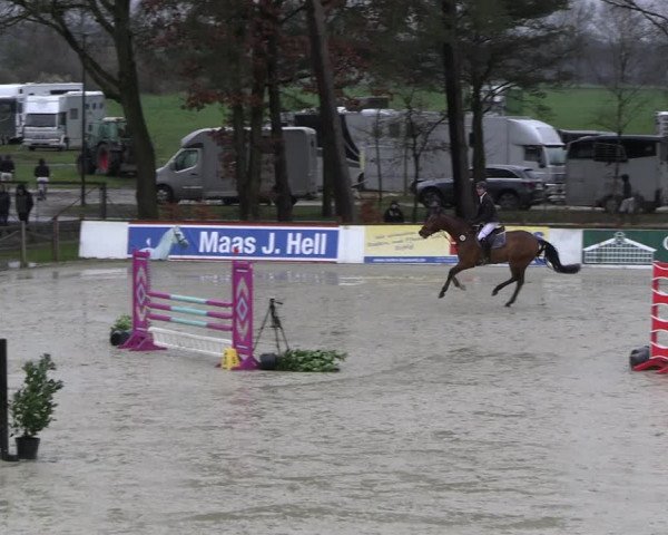 Reitturnier Westergellersen 2023