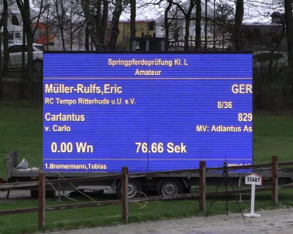 Reitturnier Westergellersen 2023