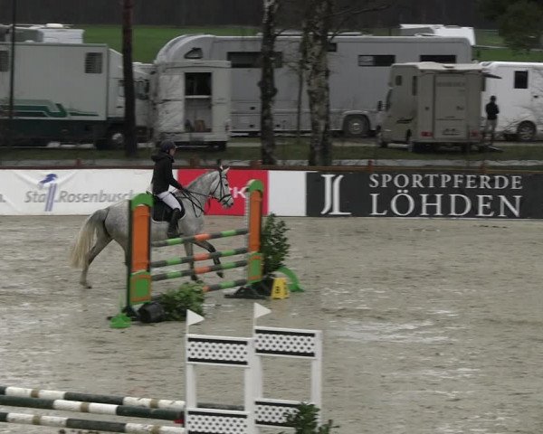 Reitturnier Westergellersen 2023