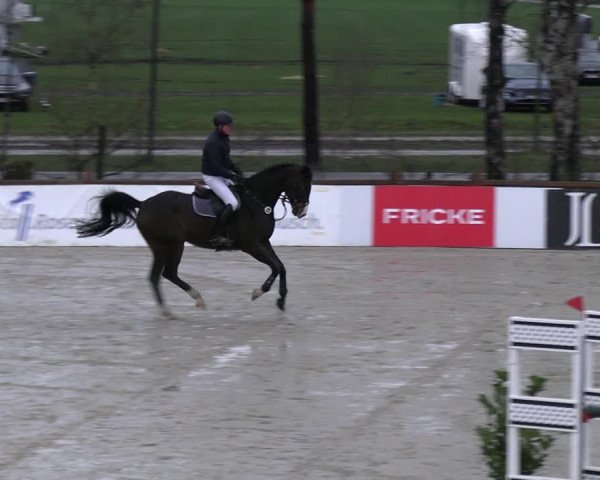 Reitturnier Westergellersen 2023