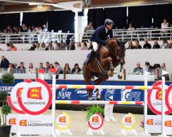broodmare Estia de Denat (Selle Français, 2014, from Kannan)