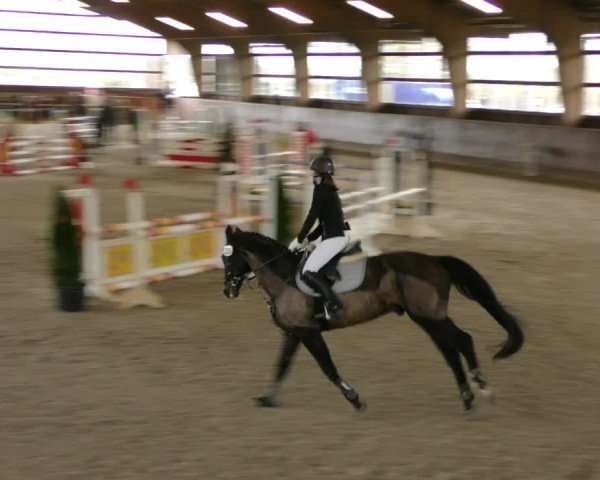 Reitturnier Päse 2023