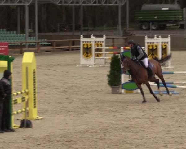 Reitturnier Balve-Wocklum 2023