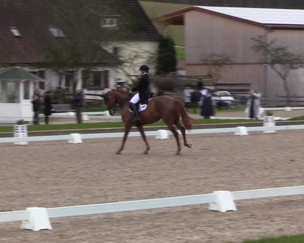 Reitturnier Balve-Wocklum 2023