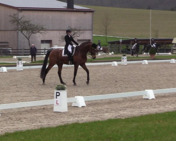 Reitturnier Balve-Wocklum 2023