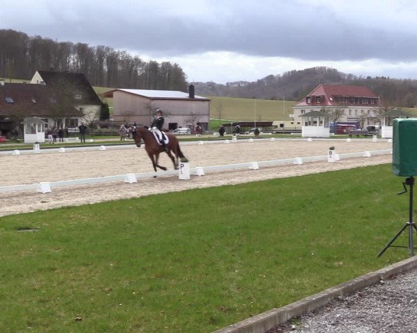 Reitturnier Balve-Wocklum 2023