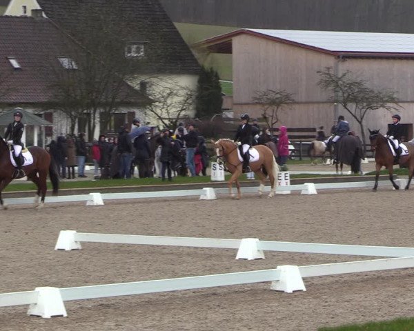 Reitturnier Balve-Wocklum 2023