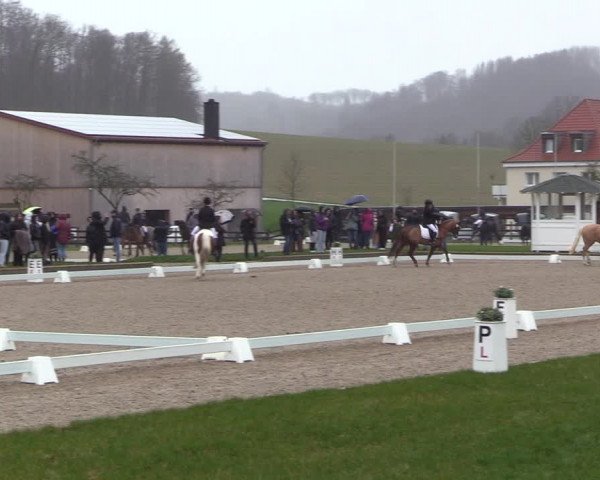 Reitturnier Balve-Wocklum 2023