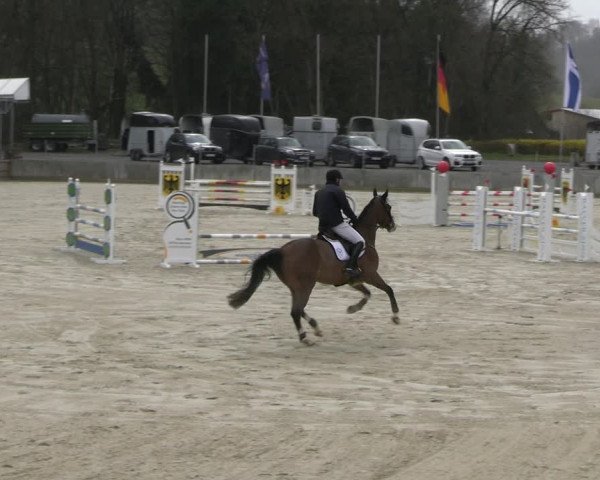 Reitturnier Balve-Wocklum 2023
