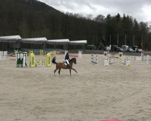 Reitturnier Balve-Wocklum 2023