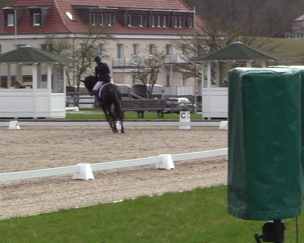Reitturnier Balve-Wocklum 2023