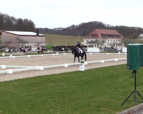 Reitturnier Balve-Wocklum 2023