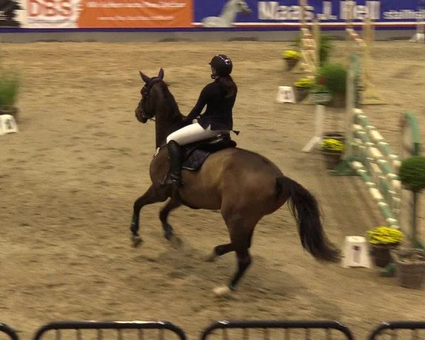 FEI Reitturnier Neumünster (GER) 2021