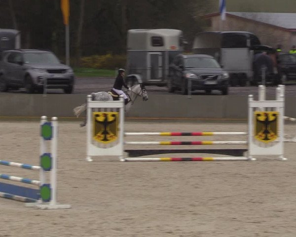 Reitturnier Balve-Wocklum 2023
