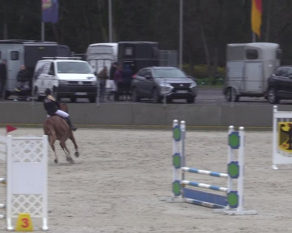 Reitturnier Balve-Wocklum 2023