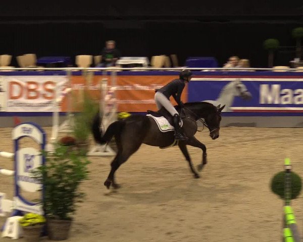 FEI Reitturnier Neumünster (GER) 2021