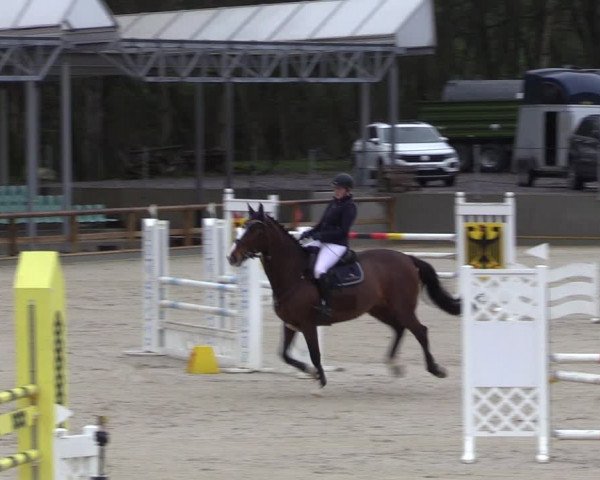 Reitturnier Balve-Wocklum 2023
