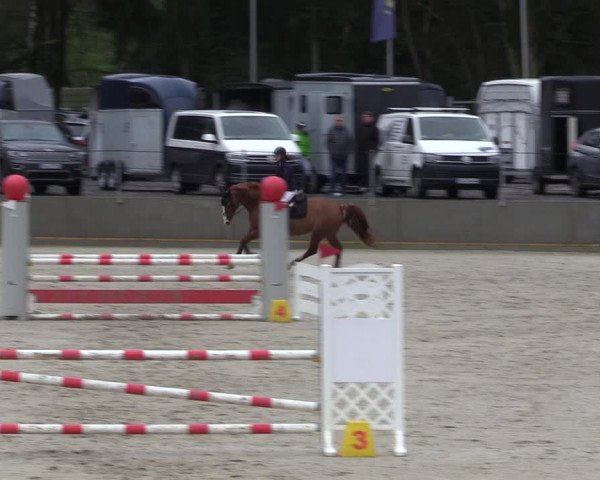 Reitturnier Balve-Wocklum 2023