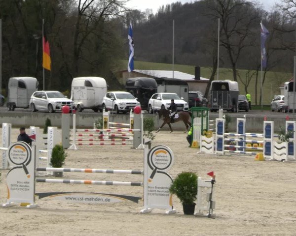 Reitturnier Balve-Wocklum 2023
