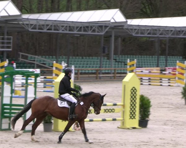 Reitturnier Balve-Wocklum 2023