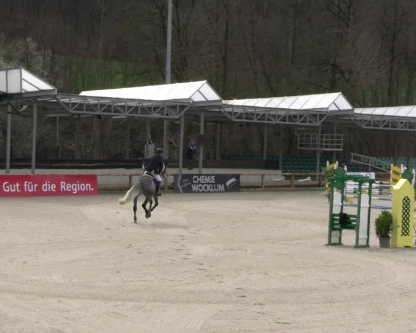 Reitturnier Balve-Wocklum 2023