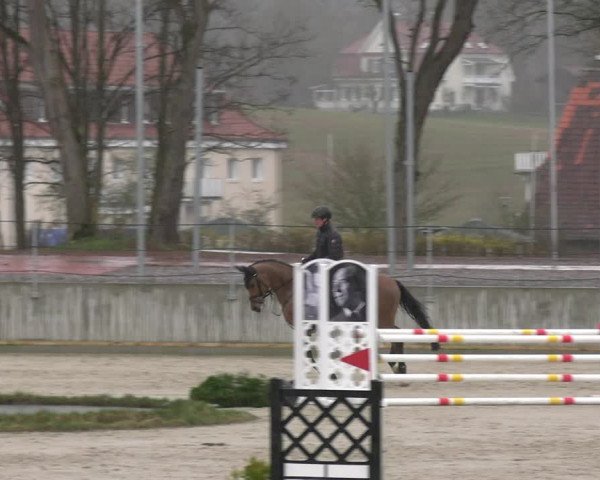 Reitturnier Balve-Wocklum 2023
